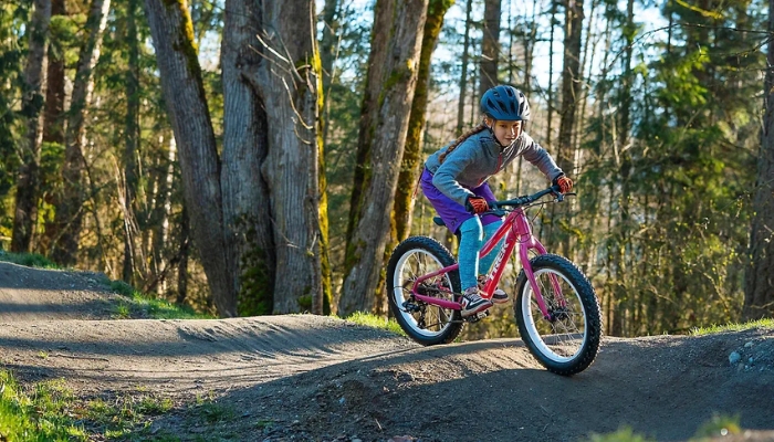 Trek Mountain Bike for Kids